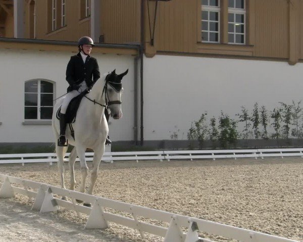 Reitturnier Avenches 2024
