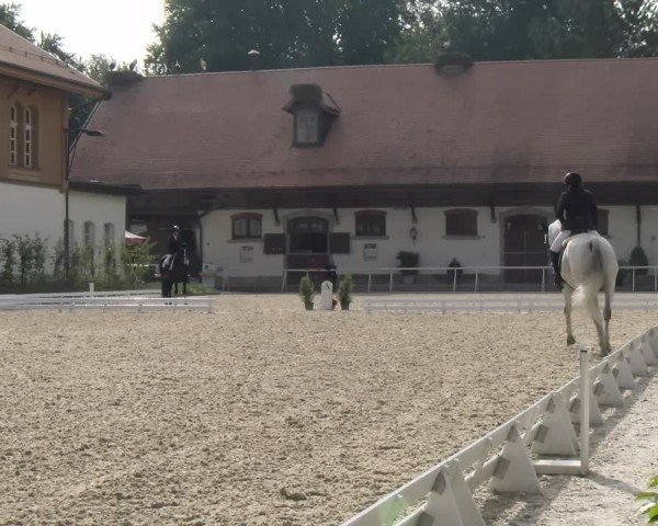 Reitturnier Avenches 2024