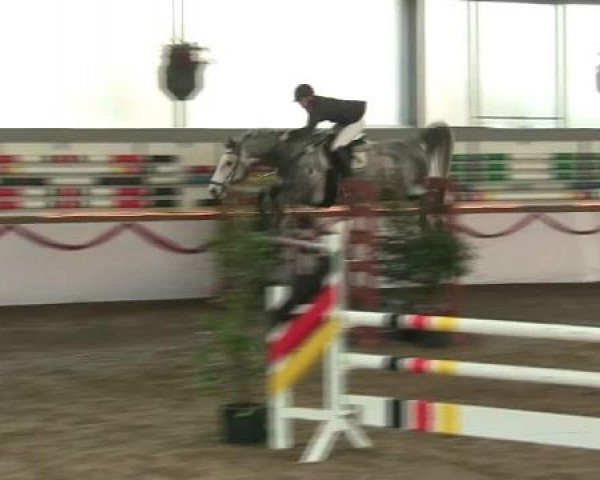Hallen-Reit- und Springturnier des RV Suedlohn-Oeding für Ponys und Großpferde 2012