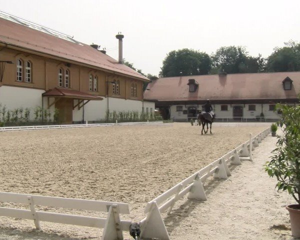 Reitturnier Avenches 2024
