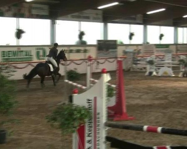 Hallen-Reit- und Springturnier des RV Suedlohn-Oeding für Ponys und Großpferde 2012