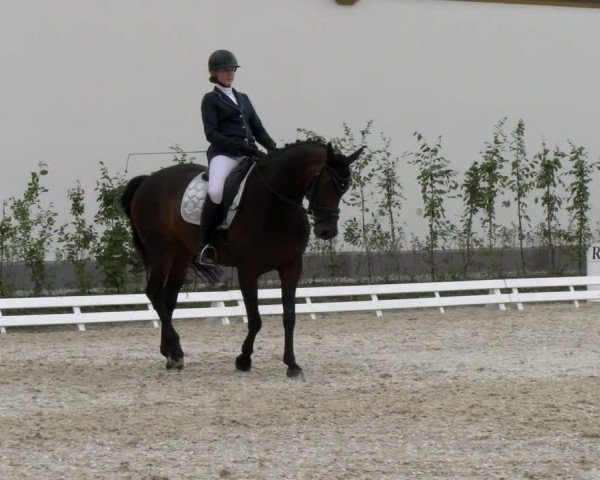 Reitturnier Avenches 2024