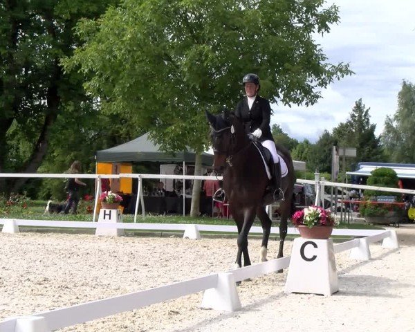 Reitturnier Avenches 2024