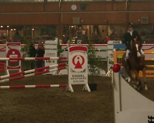 Hallen-Reit- und Springturnier des RV Suedlohn-Oeding für Ponys und Großpferde 2012