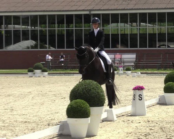 Reitturnier Langenfeld 2024