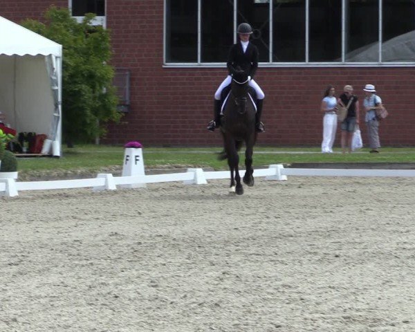 Reitturnier Langenfeld 2024