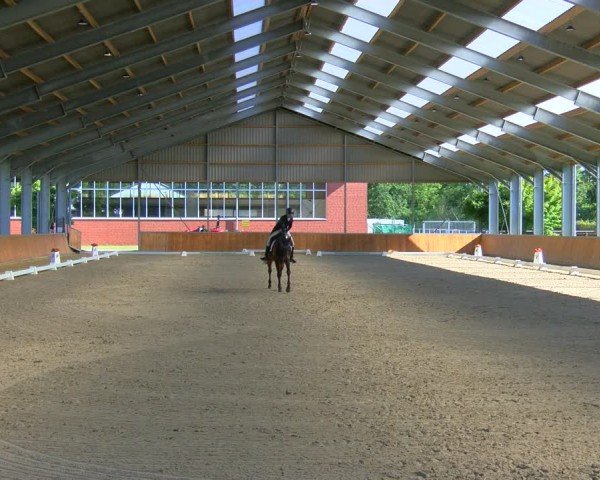 Reitturnier Langenfeld 2024