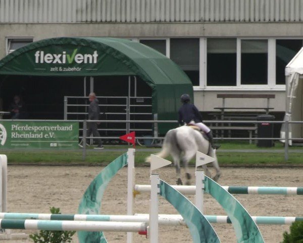Reitturnier Langenfeld 2024