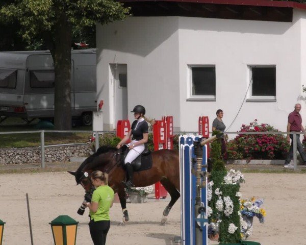 Reitturnier Ingolstadt-Hagau/Obb. 2024