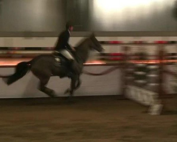 Hallen-Reit- und Springturnier des RV Suedlohn-Oeding für Ponys und Großpferde 2012