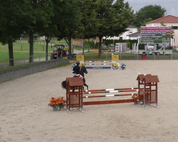 Reitturnier Ingolstadt-Hagau/Obb. 2024