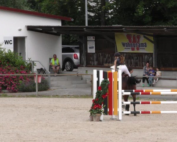 Reitturnier Ingolstadt-Hagau/Obb. 2024