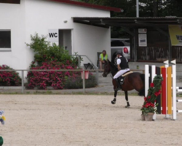 Reitturnier Ingolstadt-Hagau/Obb. 2024