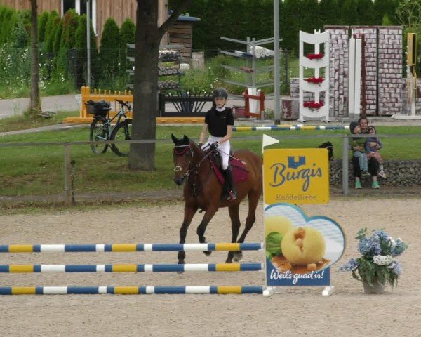 Reitturnier Ingolstadt-Hagau/Obb. 2024