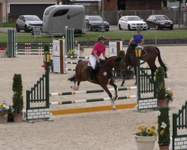 Reitturnier Ingolstadt-Hagau/Obb. 2024