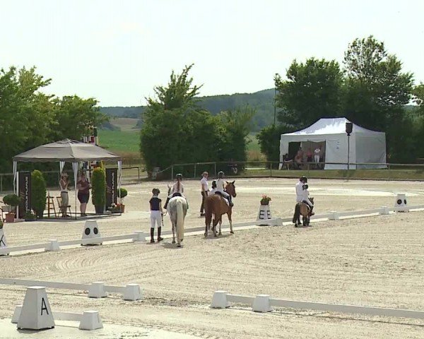 Reitturnier Großbardorf/Ufr. 2024
