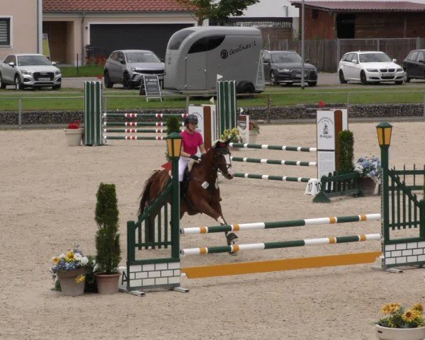 Reitturnier Ingolstadt-Hagau/Obb. 2024