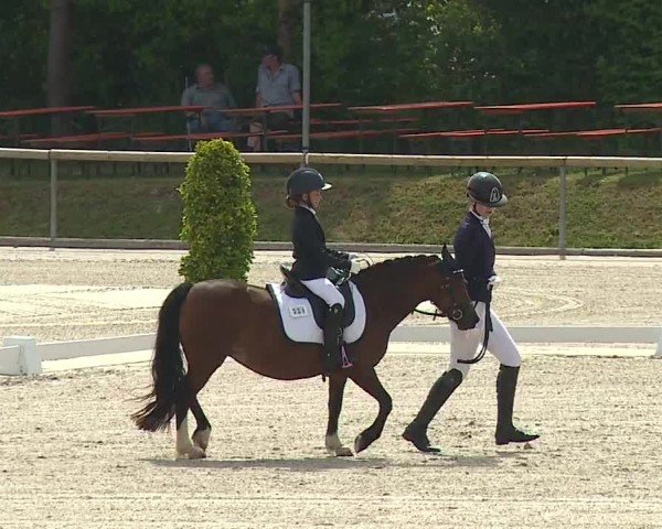 Reitturnier Großbardorf/Ufr. 2024