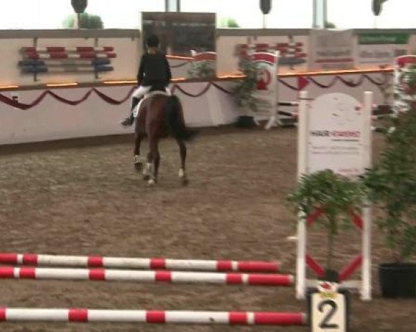 Hallen-Reit- und Springturnier des RV Suedlohn-Oeding für Ponys und Großpferde 2012