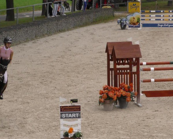 Reitturnier Ingolstadt-Hagau/Obb. 2024