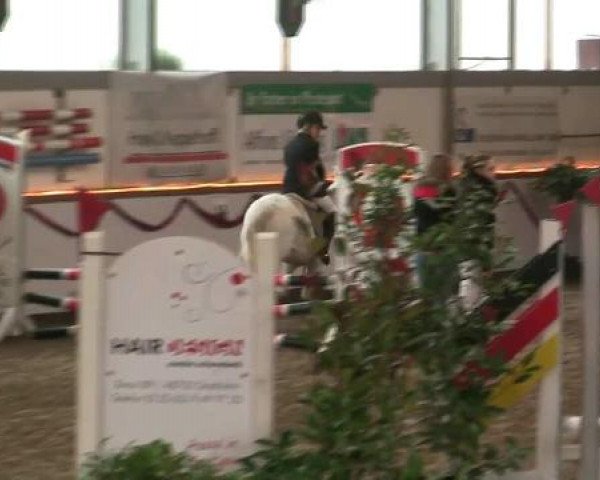 Hallen-Reit- und Springturnier des RV Suedlohn-Oeding für Ponys und Großpferde 2012