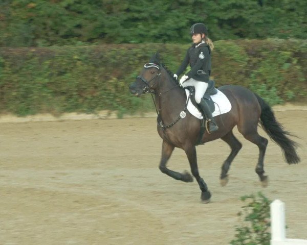 Reitturnier Böblingen 2021