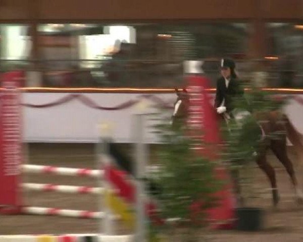 Hallen-Reit- und Springturnier des RV Suedlohn-Oeding für Ponys und Großpferde 2012