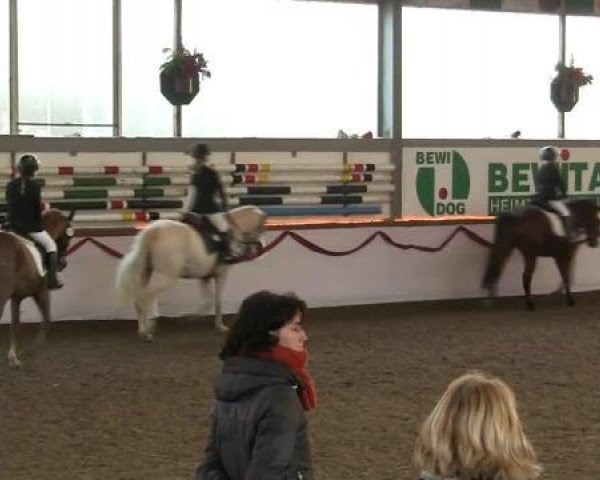 Hallen-Reit- und Springturnier des RV Suedlohn-Oeding für Ponys und Großpferde 2012