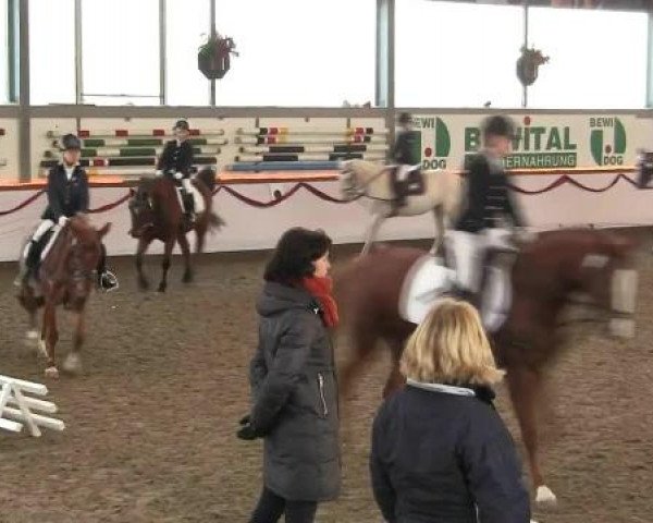 Hallen-Reit- und Springturnier des RV Suedlohn-Oeding für Ponys und Großpferde 2012