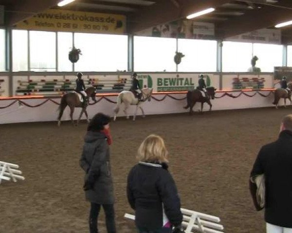 Hallen-Reit- und Springturnier des RV Suedlohn-Oeding für Ponys und Großpferde 2012