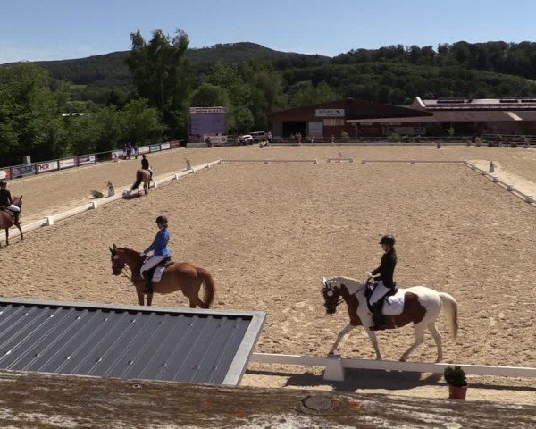 Reitturnier Uder, Reitanlage Kobold 2024