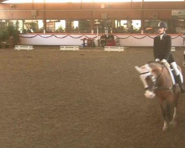 Hallen-Reit- und Springturnier des RV Suedlohn-Oeding für Ponys und Großpferde 2012