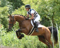 jumper Caline 34 (Hanoverian, 2018, from Cascadello)