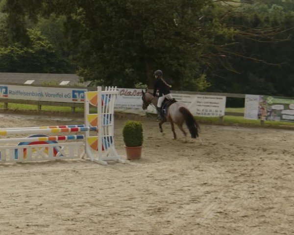 Reitturnier Kalenborn Hegehof 2024