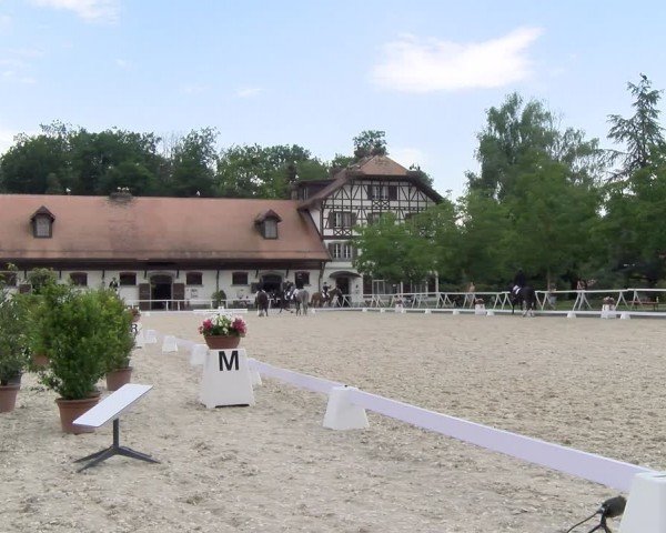 Reitturnier Avenches 2024
