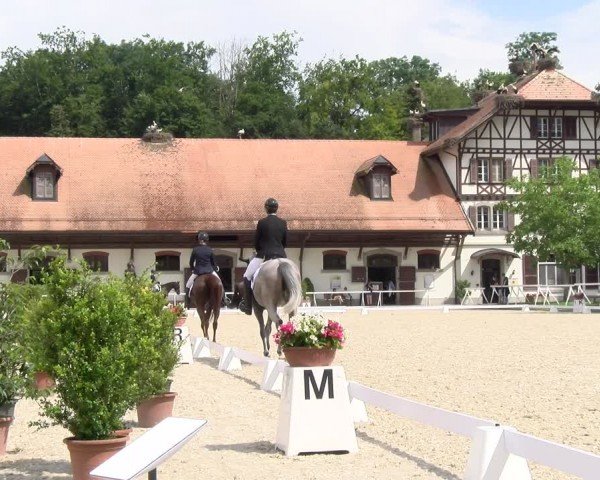 Reitturnier Avenches 2024