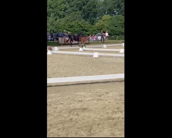 Video of Mylee