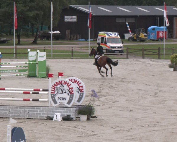 Reitturnier Luhmühlen 2024