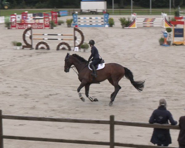 Reitturnier Luhmühlen 2024