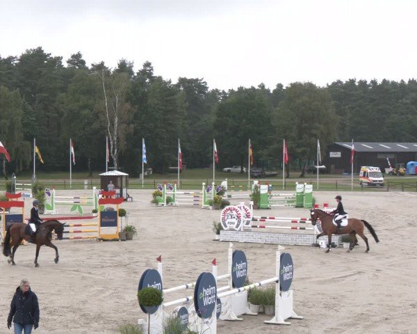 Reitturnier Luhmühlen 2024