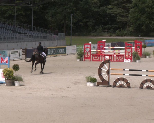 Reitturnier Luhmühlen 2024
