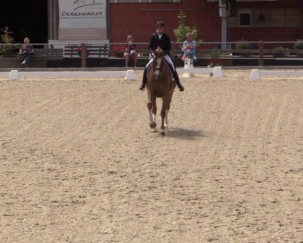 Reitturnier Uder, Reitanlage Kobold 2024