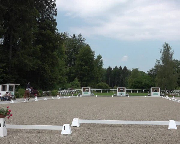 Reitturnier Grüningen 2024