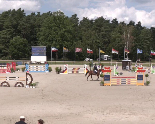 Reitturnier Luhmühlen 2024