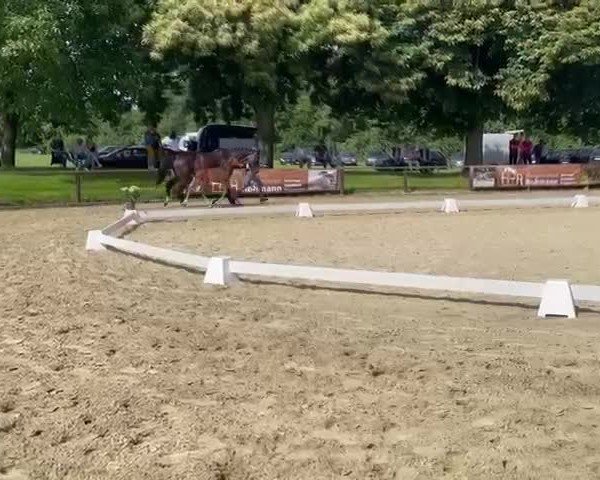 Video of Deja Vue H