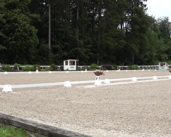 Reitturnier Grüningen 2024