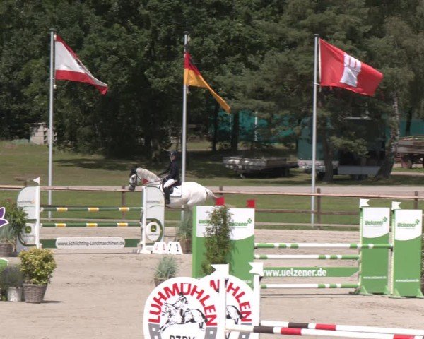 Reitturnier Luhmühlen 2024