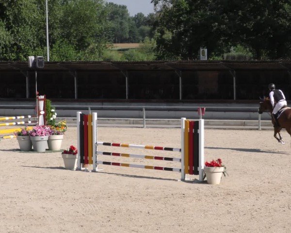 Reitturnier Ingolstadt-Hagau/Obb. 2024