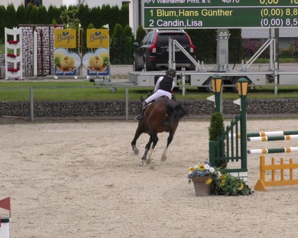 Reitturnier Ingolstadt-Hagau/Obb. 2024