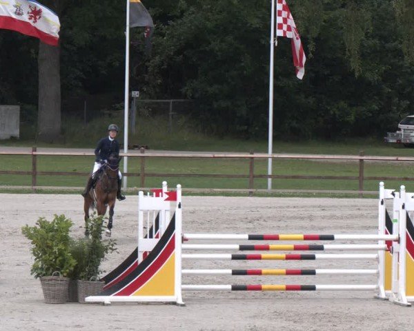Reitturnier Luhmühlen 2024